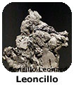 Leoncillo